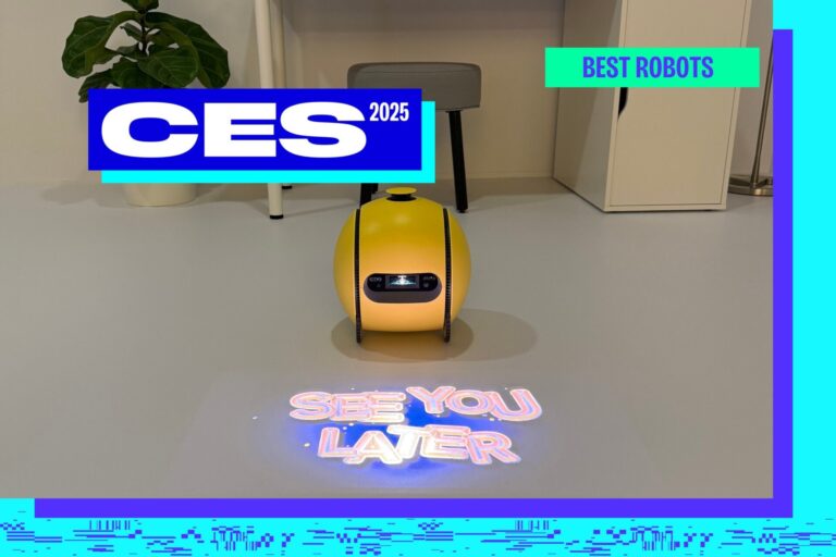 CES 2025'in En İyi Robotları